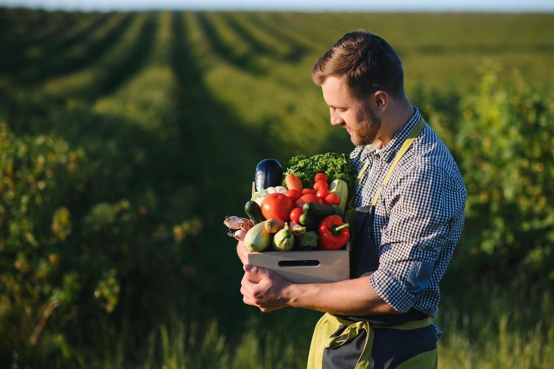Polędwiczki w sosie koperkowym